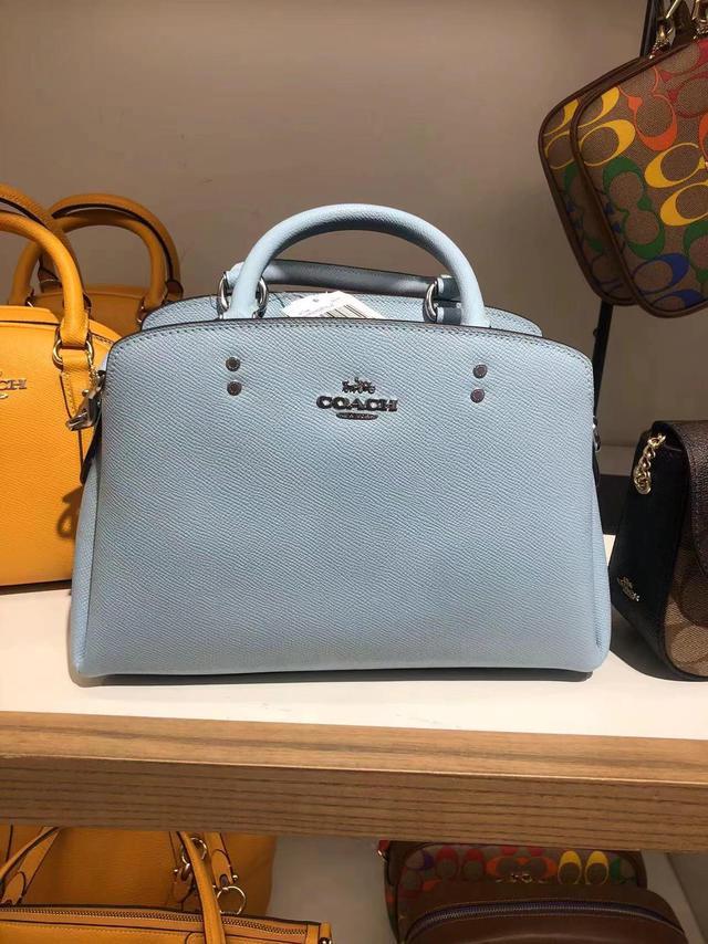 Coach Mini Lillie Carryall  Carryall, Kate spade top handle bag, Powder  blue