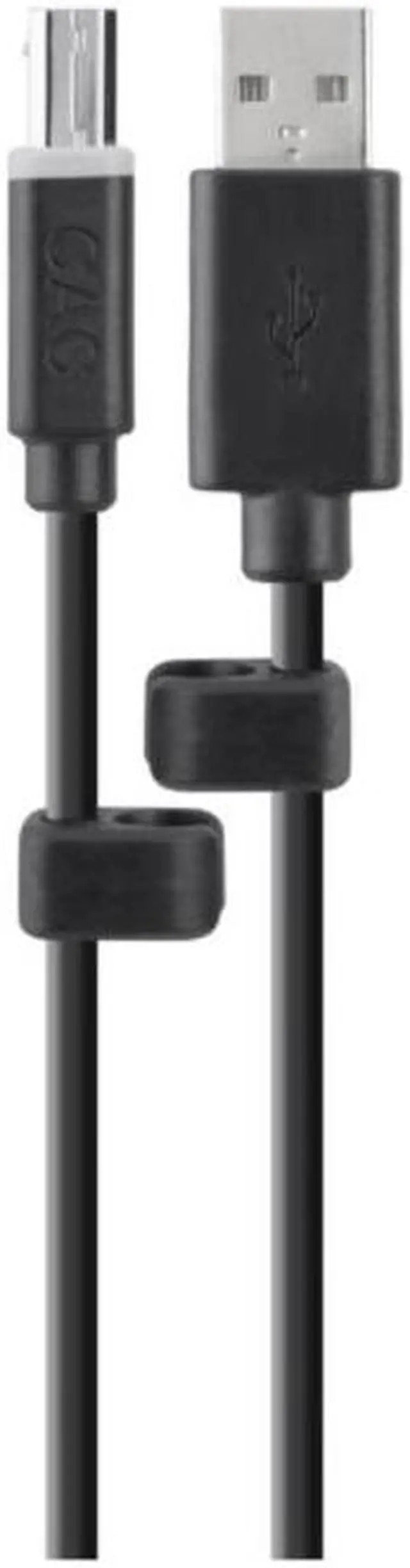 Main image of Belkin USB A/B Cable F1D9013B10T