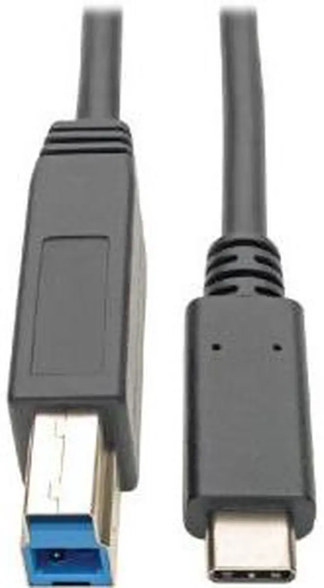 Alt view image 11 of 12 - Tripp Lite U422-006 USB Type-C to USB Type-B Cable, 6 ft.
