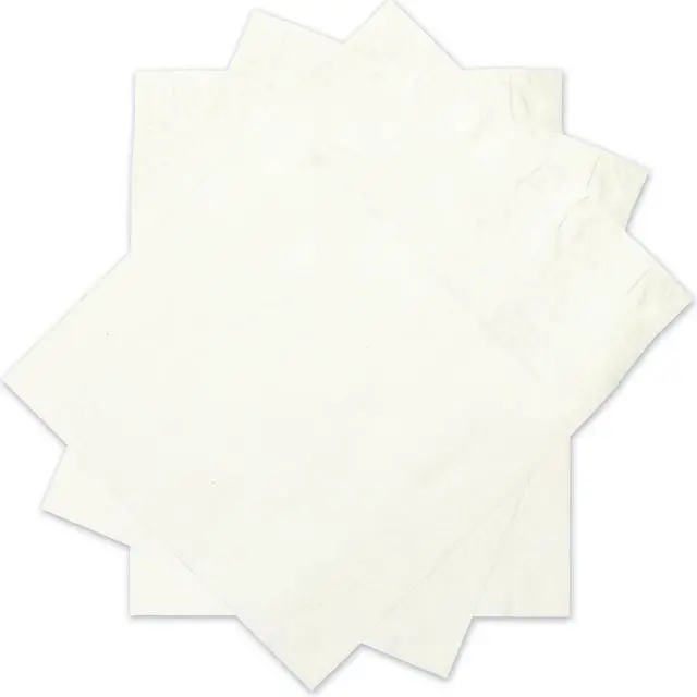 Alt view image 4 of 5 - Survivor Envelope,Tyvk ,12x16x4,We R4497