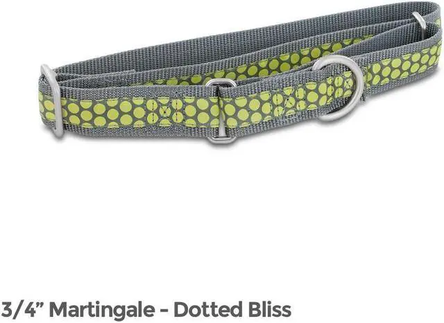 Main image of PetSafe Fido Finery Martingale Style Collar (3/4" Medium, Dotted Bliss)