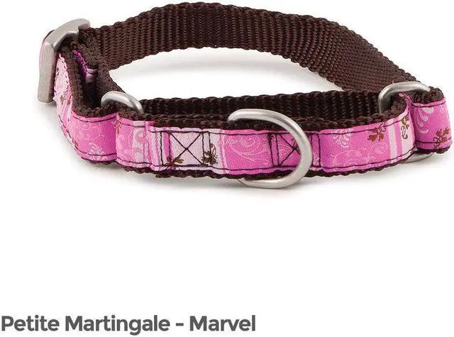 Main image of PetSafe Fido Finery Martingale Pet Dog Collar 1/2" Petite Marvel