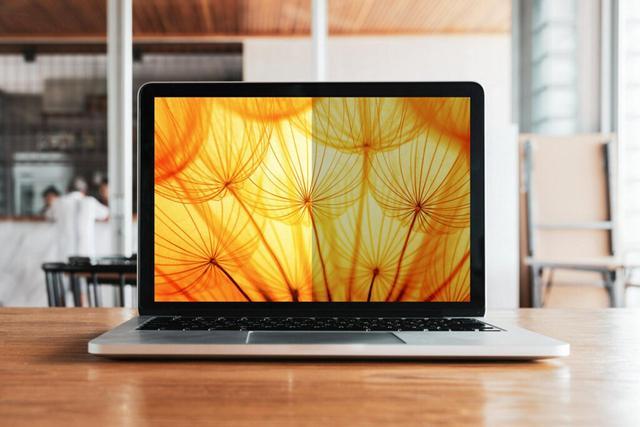Alt view image 16 of 16 - 3M Bright Screen Privacy Filter for 14.1in Laptop 16:10 BP141W1B