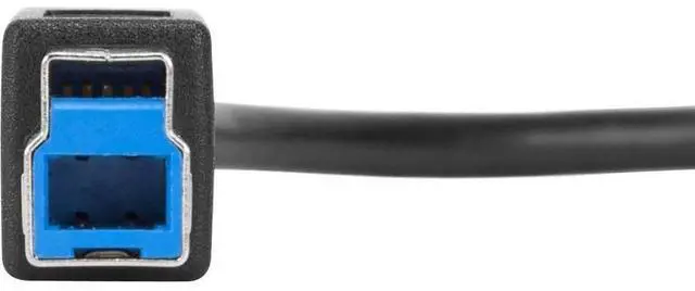 Alt view image 5 of 5 - Targus 1-Meter USB-C to USB-B 5Gbps Cable - ACC924USX