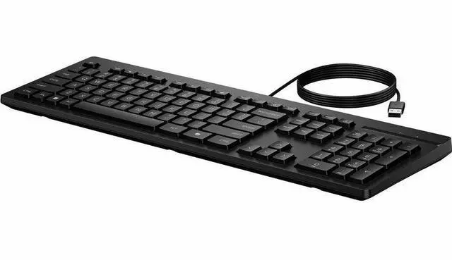 Alt view image 6 of 11 - HP 125 Wired Keyboard, AY2Y7AA