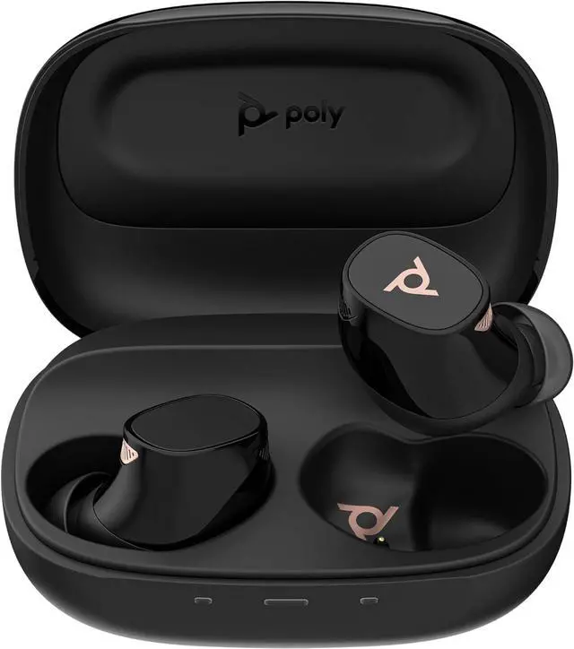 Main image of Poly Voyager Free 20 True Wireless Earbuds +Basic Charge Case 946C3AA#ABA - Black