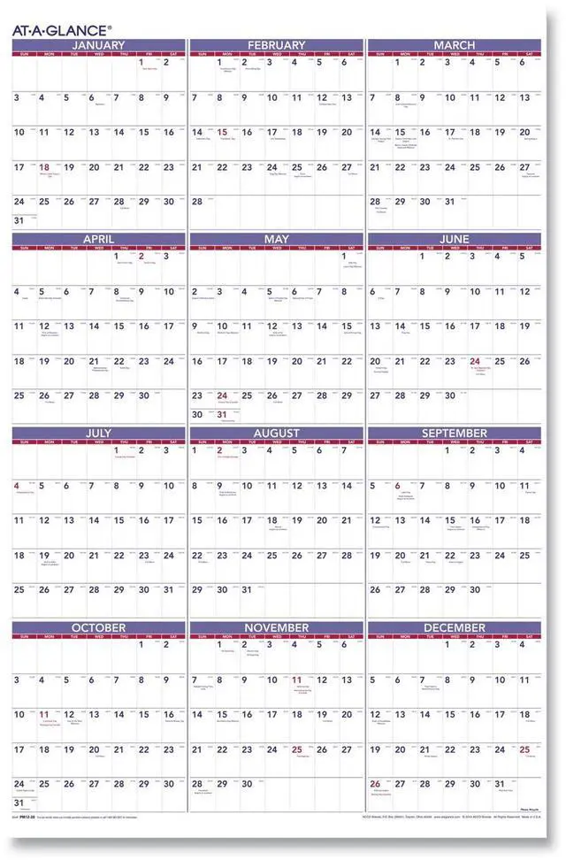 Main image of AT-A-GLANCE® 2026 Yearly Wall Calendar, Extra Large, 24" x 36"