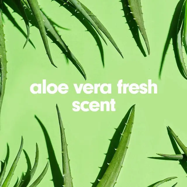 Alt view image 5 of 7 - Softsoap Liquid Hand Soap Refill Fresh Scent 1 gal Refill 61036483