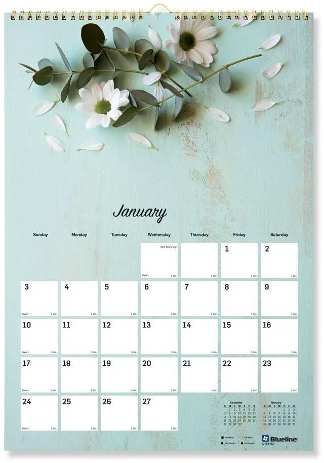 Main image of 2026 Blueline Colorful Monthly Wall Calendar, 12" x 17", Romantic, January To December, C173122