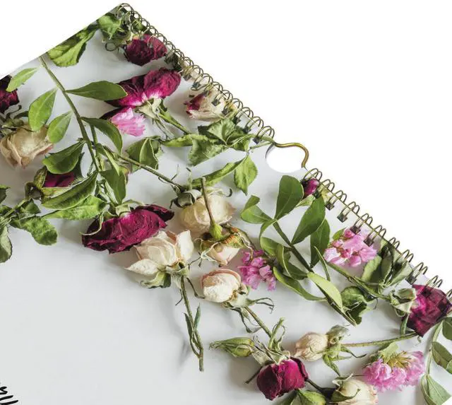 Alt view image 2 of 7 - 2026 Blueline Colorful Monthly Wall Calendar, 12" x 17", Romantic, January To December, C173122