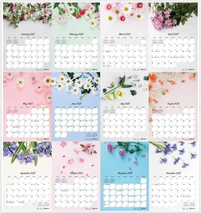 Alt view image 6 of 7 - 2026 Blueline Colorful Monthly Wall Calendar, 12" x 17", Romantic, January To December, C173122