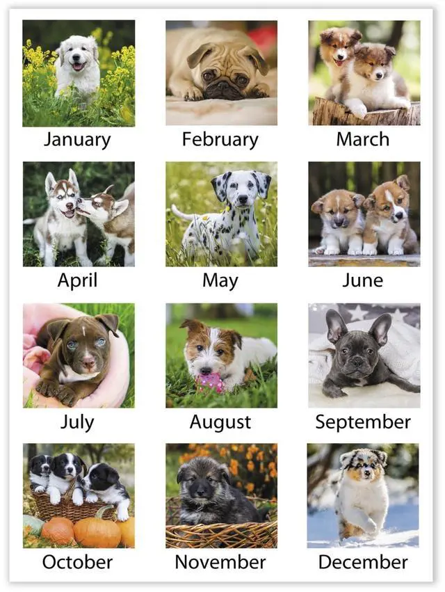 Alt view image 4 of 7 - At-A-Glance Puppies Monthly Desk Pad Calendar 22x17 2026 DMD16632
