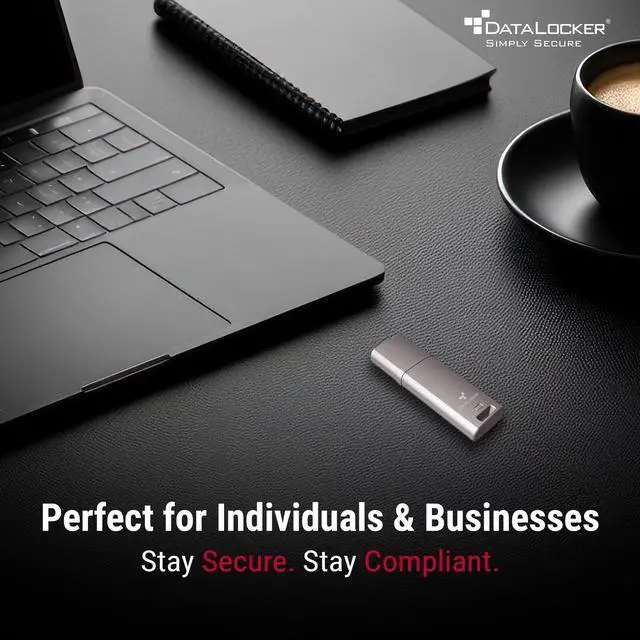 Main image of DataLocker DL GO 4GB Usb 3.2 gen 1 type a + Usb 3.0 + Usb 3.1 Flash Drive DLGO004