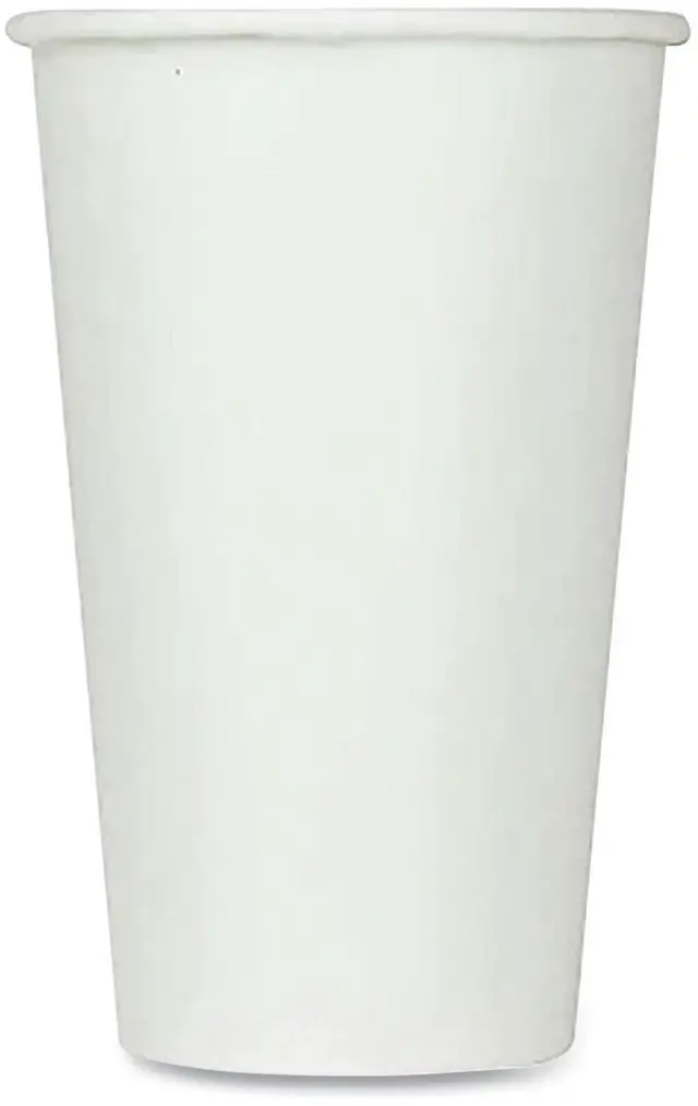 Main image of Double Poly Paper Cold Cups 16 oz White 1000/Carton CKCP16W