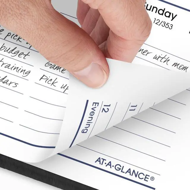 Alt view image 3 of 7 - AT-A-GLANCE® DayMinder® 2026 Weekly Appointment Book Planner, Black, Small, 5" x 8"