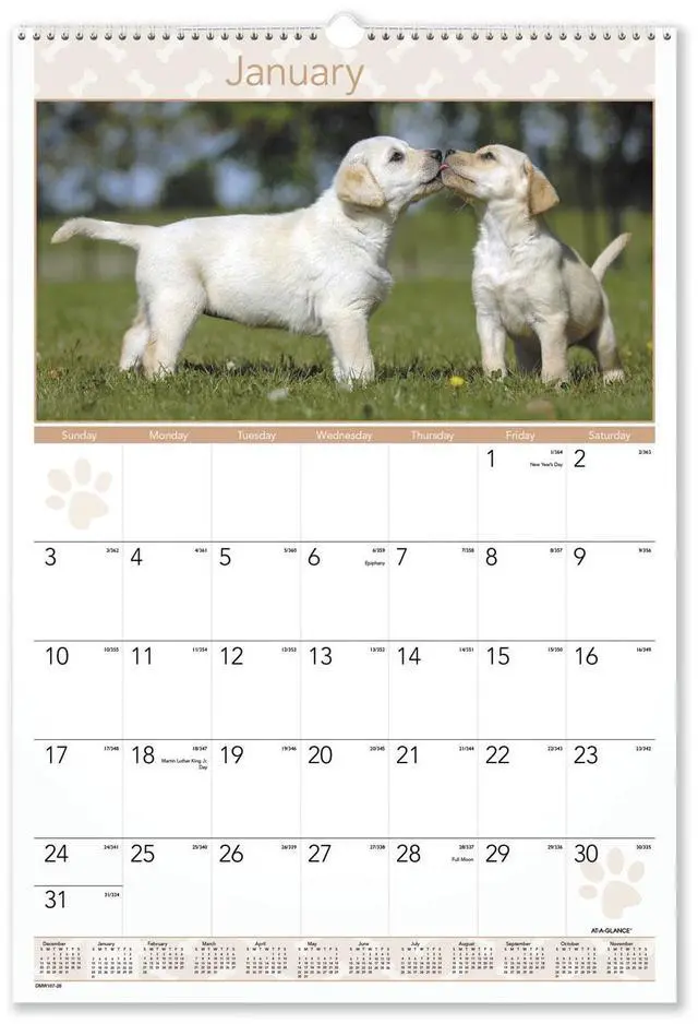 Main image of AT-A-GLANCE® 2026 Puppies Monthly Wall Calendar, Large, 15 1/2" x 22 3/4"