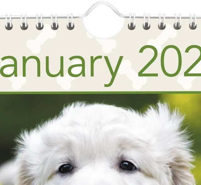 Alt view image 5 of 7 - AT-A-GLANCE® 2026 Puppies Monthly Wall Calendar, Large, 15 1/2" x 22 3/4"