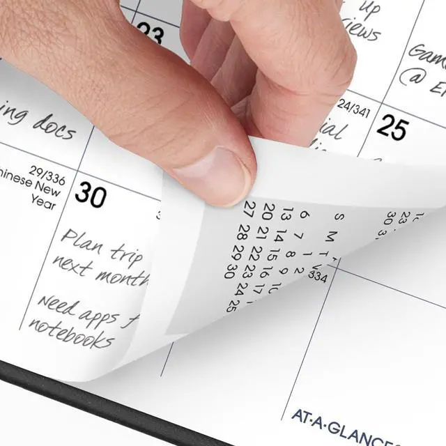 Alt view image 3 of 6 - AT-A-GLANCE® DayMinder® 2026 Monthly Planner, Black, Pocket, 3 1/2" x 6"