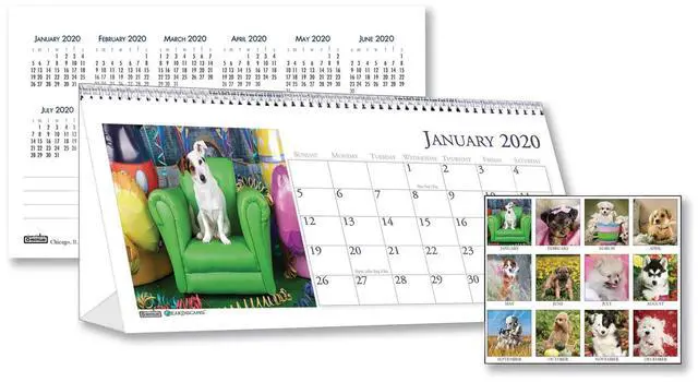 Main image of House of Doolittle Recycled Puppy Photos Desk Tent Monthly Calendar 8.5 x 4.5 2026