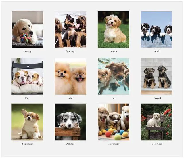 Alt view image 2 of 2 - House of Doolittle Recycled Puppy Photos Desk Tent Monthly Calendar 8.5 x 4.5 2026