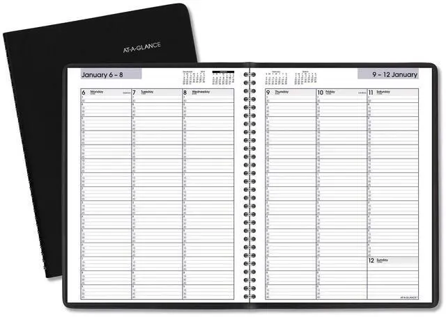 Main image of AT-A-GLANCE® DayMinder® 2026 Weekly Appointment Book Planner, Black, Large, 8" x 11"