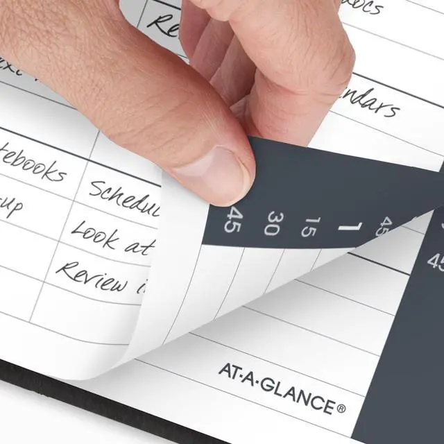 Alt view image 3 of 7 - AT-A-GLANCE® 2026 Daily Quarter-Hour Appointment Book Planner, Black, Small, 5" x 8"