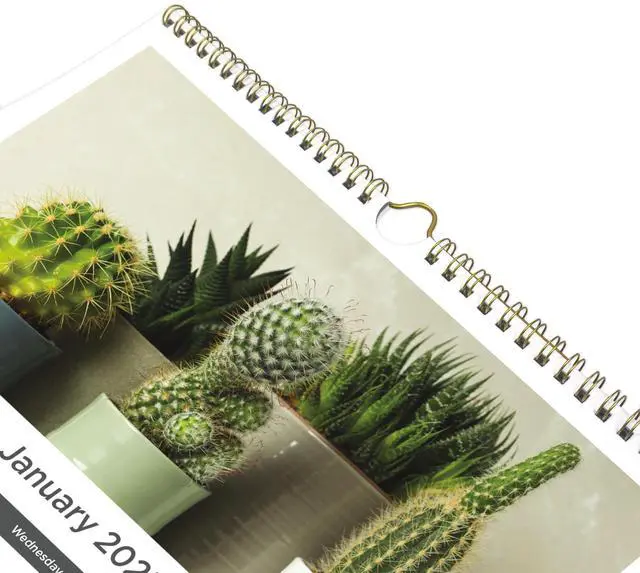 Alt view image 6 of 7 - 2026 Blueline Colorful Monthly Wall Calendar, 12" x 17", Minimalist, January To December, C173121