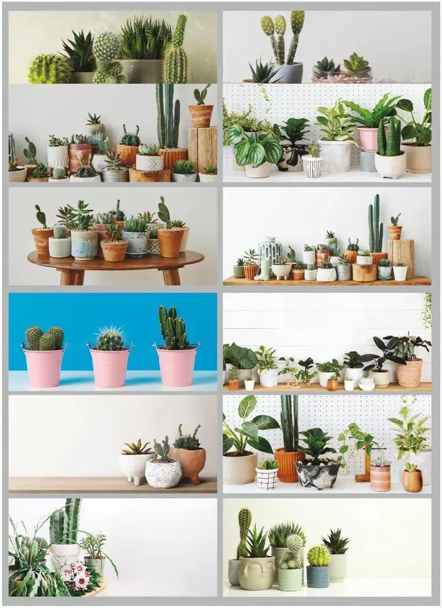 Alt view image 3 of 7 - 2026 Blueline Colorful Monthly Wall Calendar, 12" x 17", Minimalist, January To December, C173121