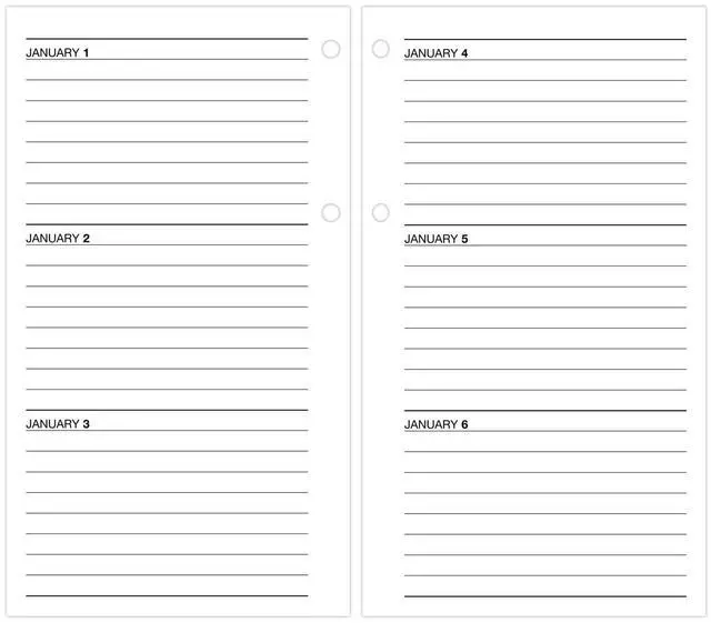 Alt view image 2 of 6 - AT-A-GLANCE® 2026 Daily Loose-Leaf Desk Calendar Refill, Standard, 4 1/2" x 8"