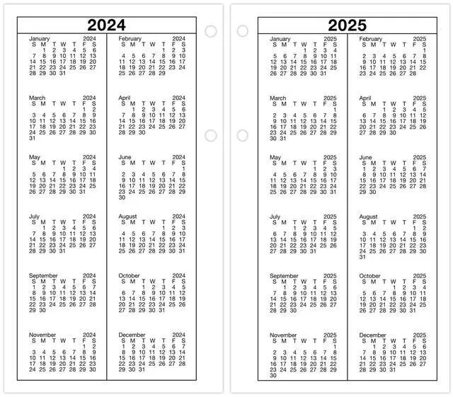 Alt view image 5 of 6 - AT-A-GLANCE® 2026 Daily Loose-Leaf Desk Calendar Refill, Standard, 4 1/2" x 8"