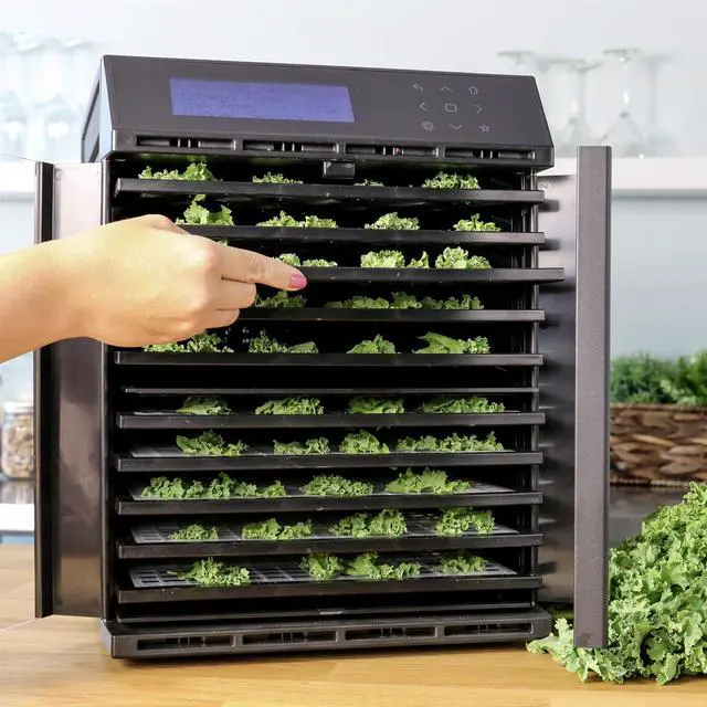 Alt view image 10 of 14 - Excalibur RES10 10-Tray Dehydrator w/ Digital Control