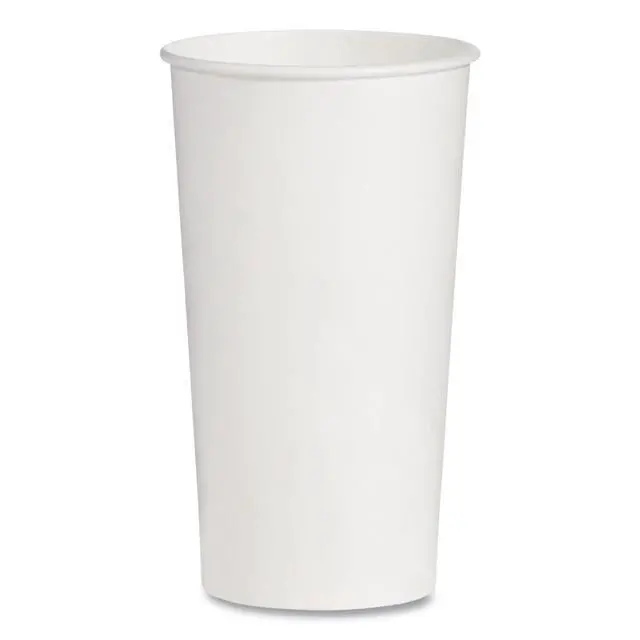 Main image of Double-Sided Poly DSP Paper Cold Cups 21 oz White 1000/Carton RNP21P2050