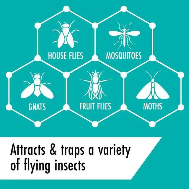 Alt view image 5 of 7 - STEM Light Trap: Indoor Fruit Fly Trap, Effective Insect Control for Home, Attracts and Traps Flying Insects, Emits Soft Blue Light, Starter Kit
