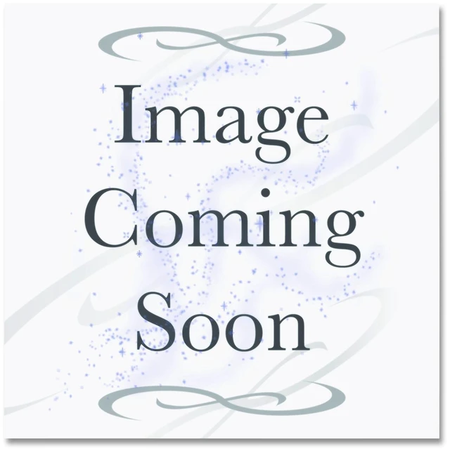 Alt view image 3 of 3 - Xerox Versant 80 / Versant 180 / Versant 2100 Press Suction Filter