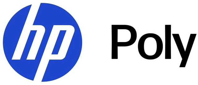 Main image of HP Poly Focus 6 Over-Ear Cushions (2 Pieces) WW