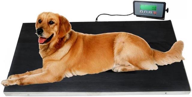 Main image of 660 lbs VET Veterinary Platform Scale for Animal Pet Dog Cat Livestock w/FREE MAT