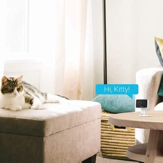Alt view image 5 of 7 - Zmodo Cameras for Home Security (Indoor & Outdoor Camera Bundle), 1080p HD, IP Camera Wireless WiFi, Motion Detection, Two-Way Talk, Night Vision, Remote View, Cloud Service, Work with Alexa/Google