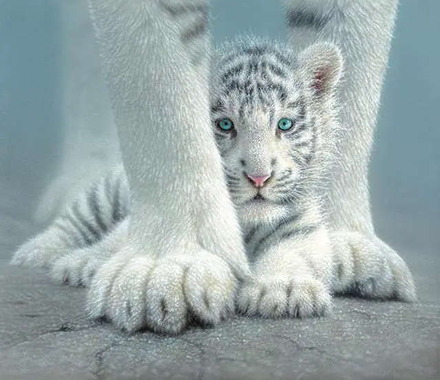 Alt view image 3 of 4 - Sheltered 550pc Jigsaw Puzzle by Colin Bogle SOIY1852 SUNSOUT