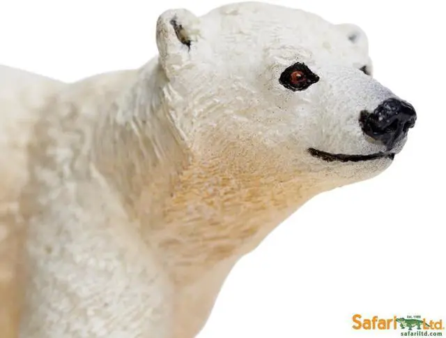 Alt view image 3 of 8 - Safari Polar Bear Cub