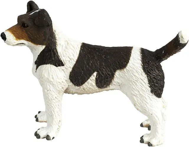 Alt view image 7 of 9 - Safari: Jack Russel Terrier