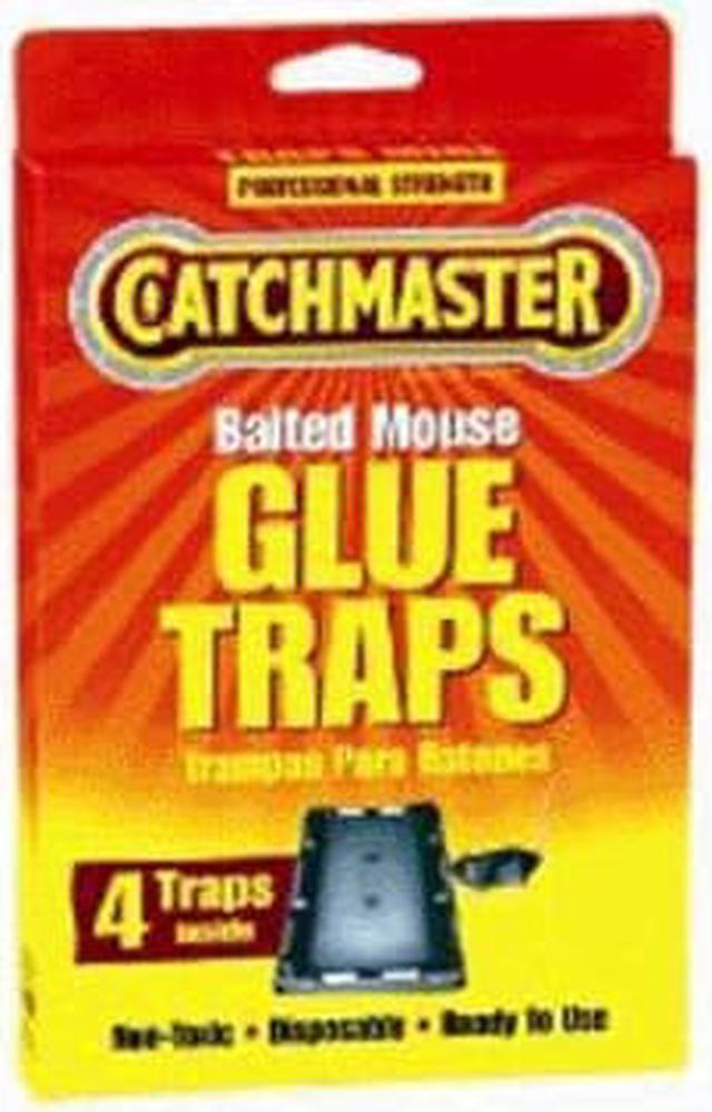 Catchmaster Glue Trap, 5-1/4 in. L, 3-1/2 in. W, PK4 - 104