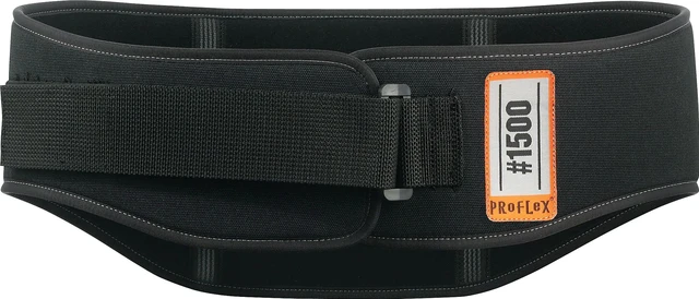 Alt view image 4 of 6 - ERGODYNE 20187 Proflex Mesh Back Support W/Lumbar Pad 2Xl