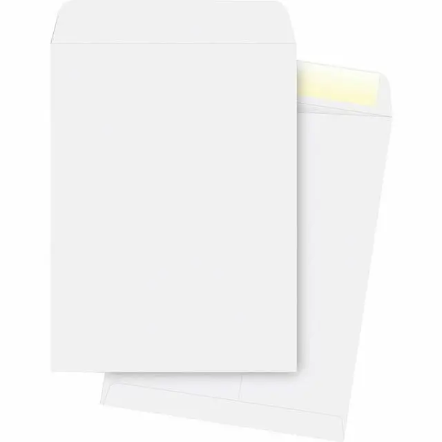 Main image of Business Source Catalog Envelopes Plain 28Lb. 10"x13" 250/PK WE 42103