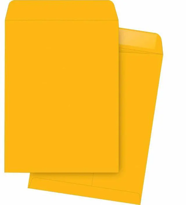 Main image of Business Source Catalog Envelopes Plain 10"x13" 250/BX Kraft 42101
