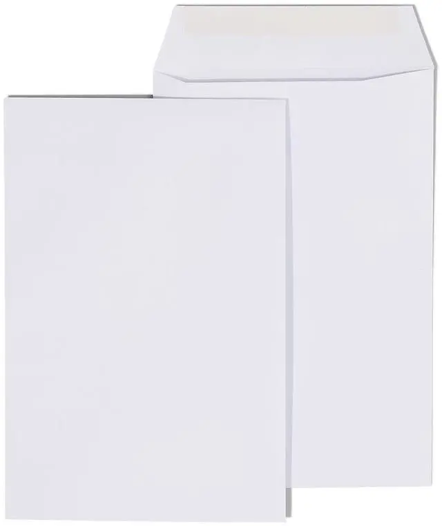 Main image of Business Source Double Window Envelopes No. 9 3-7/8"x8-7/8" 500/BX White 36681