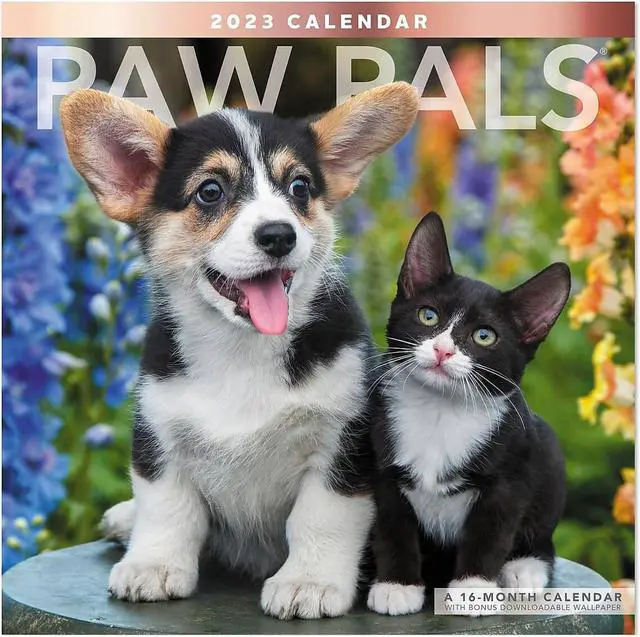 Main image of 2023 Mead Paw Pals 12"" x 12"" Monthly Wall Calendar (LME2261023)