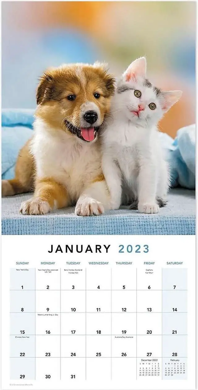 Alt view image 2 of 8 - 2023 Mead Paw Pals 12"" x 12"" Monthly Wall Calendar (LME2261023)
