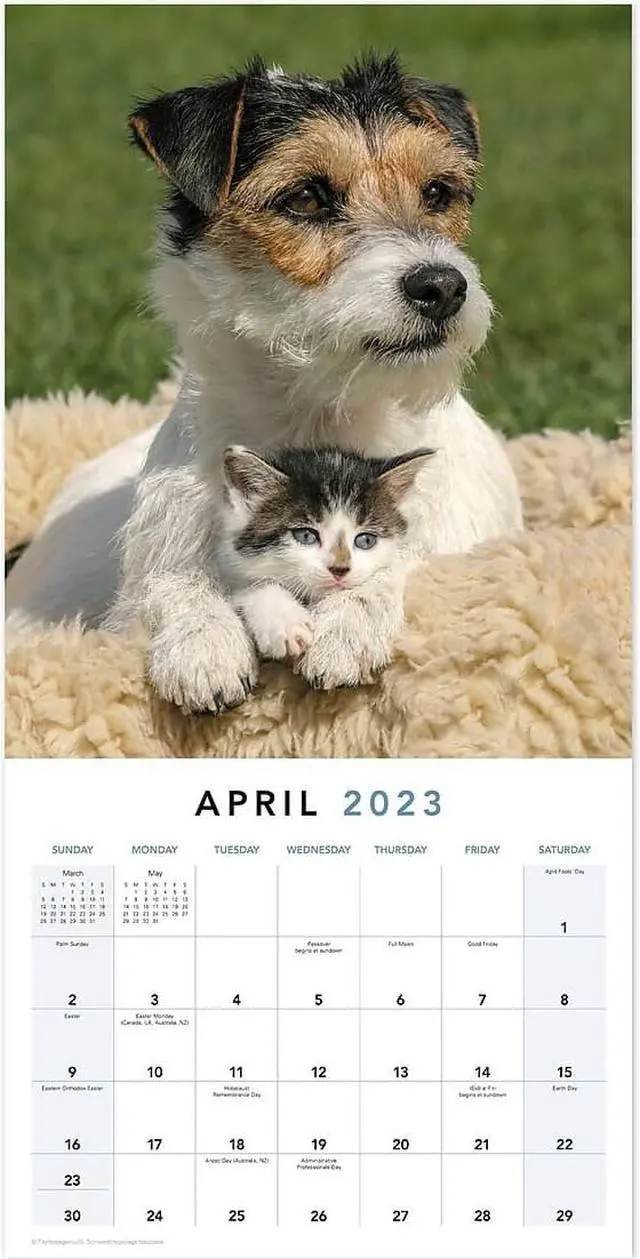 Alt view image 4 of 8 - 2023 Mead Paw Pals 12"" x 12"" Monthly Wall Calendar (LME2261023)