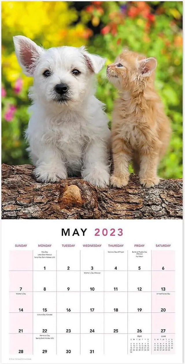 Alt view image 6 of 8 - 2023 Mead Paw Pals 12"" x 12"" Monthly Wall Calendar (LME2261023)