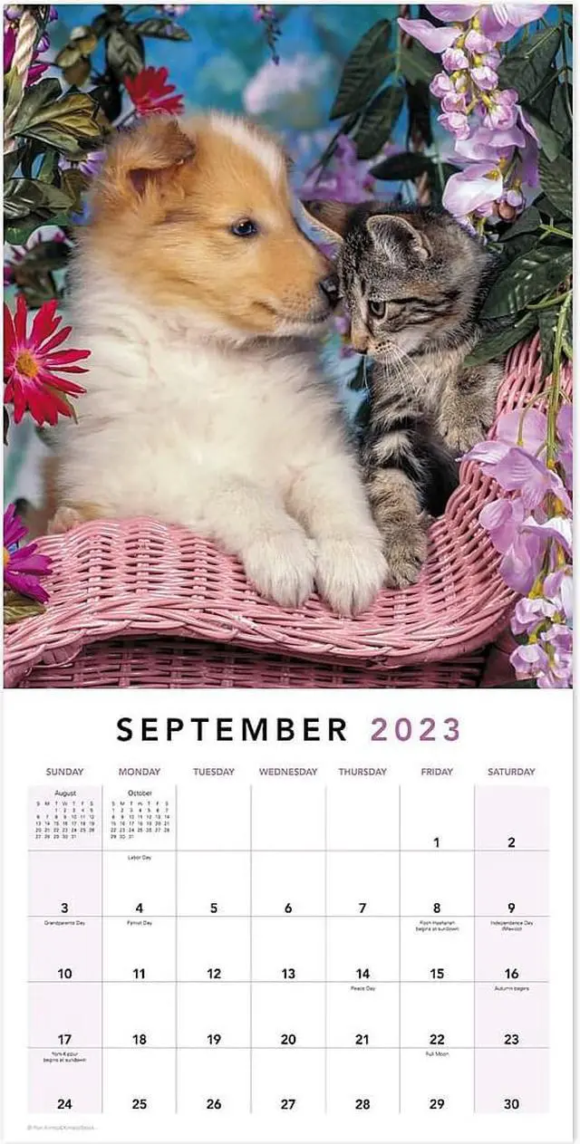Alt view image 5 of 8 - 2023 Mead Paw Pals 12"" x 12"" Monthly Wall Calendar (LME2261023)